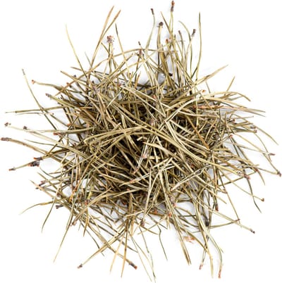 Dennen Naalden Thee Kwaliteit - Dennen Naalden - 100 gram