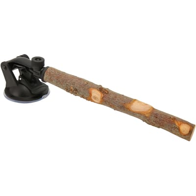 Perchoir en Bois pour Perroquet Empêche le Glissement Perchoir Interactif pour Fenêtre d'Oiseau Support avec Ventouses pour Petit Moyen Oiseau 15cm   5.9in 15cm/5.9in brown