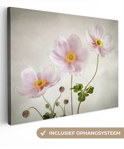 Canvas schilderij 40x30 cm - Wanddecoratie Bloemen - Stilleven - Olieverf - Klaproos - Roze - Muurdecoratie woonkamer - Slaapkamer decoratie - Kamer accessoires - Schilderijen op canvas