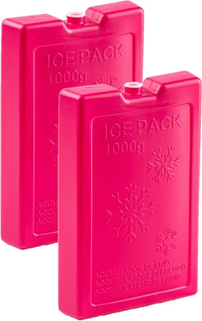 Plasticforte Koelelementen van 1000 gram - 2x stuks - roze - 22 x 14.5 x 3.5 cm - voor koeltas en koelbox