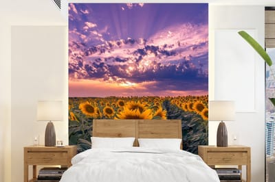 Behang - Fotobehang Bloemen - Lucht - Paars - Zonnebloem - Zonsondergang - Breedte 195 cm x hoogte 260 cm