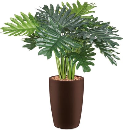 HTT - Kunstplant Philo Xanadu in Genesis rond bruin H90 cm