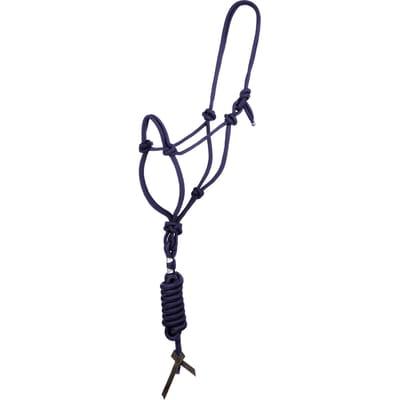Halster en longe voor paard met knoop Pool's