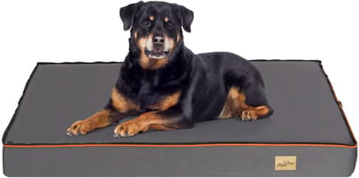 BingoPaw Orthopedische hondenbedden - Hondenmatras Extra Large - 120 x 90 cm - met oranje rand Wasbare en waterafstotende hoes - Grijs