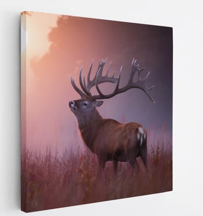 Saammp Canvas Schilderij - Hert in zonsopgang - Natuur - Dierenen - 20x20 - Foto op canvas - Wanddecoratie - Muurdecoratie Woonkamer - Slaapkamer decoratie - Canvas Print