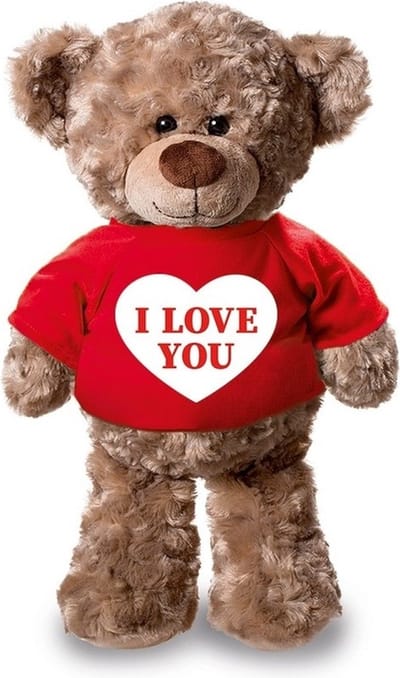 Knuffel teddybeer hartje - i love you - 24 cm - pluche - met shirt