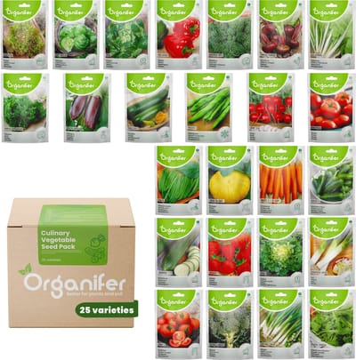 Groentezaden Pakket - Moestuinzaden - 25 Culinaire Soorten - Groentezaden - Tomaten Zaden - Komkommer Zaden - Peper Zaden - Aardbeien Zaadjes - Paprika Zaden - Groentezaden Moestuin - Organifer