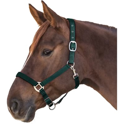 Waldhausen Halster Satin Donkergroen - Paardenhalster - Cob Satin
