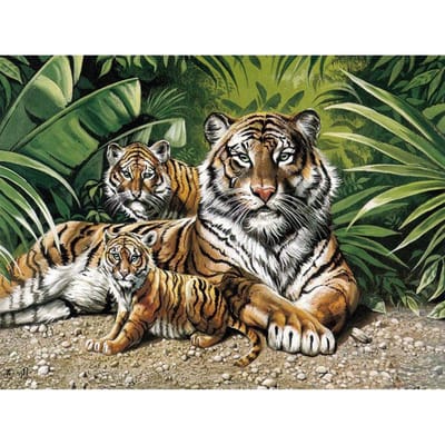 5D Diamant Schilderij Tijgerfamilie Volledig Ronde Boor Diamant Borduurwerk 20X30CM beige