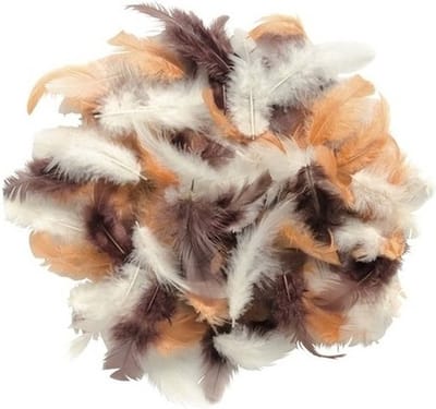 10 gram decoratie sierveren bruin tinten - 2x zakjes - Sierveren/veertjes - Hobby en knutsel materialen