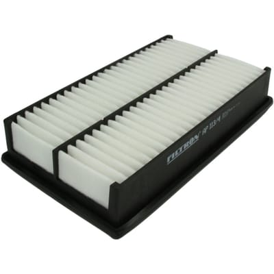 Luchtfilter FILTRON AP113/4