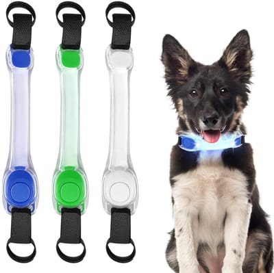 Dailygoods- Hondenhalsband Lichtgevend - Waterdicht - Knipperend - 3 Verlichtingsmodi - Eenvoudig Bevestigen - Duurzaam Siliconen - Veiligheidsband