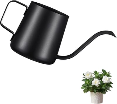 SnelShoppen - Mini Gieter 250ml - Zwarte Roestvrijstalen Waterkan voor Binnenplanten en Succulenten met Lange Tuit - Ideaal voor Tuin en Keuken