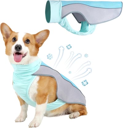 Koelvest Hond S - Cooling Vest - Koeljas Hond - IJszijde - Ademende Mesh Hondenjas - UV-bescherming - Verkoeling Hond - Verkoelende Harnas - Verkoelende Hondenvest - Coolvest - Verkoelende Jas - Blauw