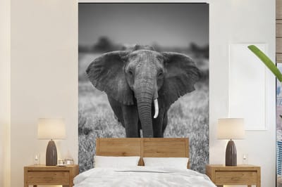 Behang - Fotobehang Olifant - Dieren - Safari - Wildlife - Breedte 200 cm x hoogte 300 cm
