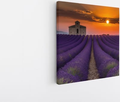 Saammp Canvas Schilderij - Lavendelveld met huis - Natuur - Landschap - 20x20 - Foto op canvas - Wanddecoratie - Muurdecoratie Woonkamer - Slaapkamer decoratie - Canvas Print