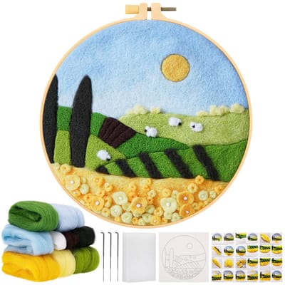 Naaldviltenset voor beginners, naaldvilten, schilderset voor volwassenen, naaldviltgereedschap, wolvilten, naaldvilten en pad, wolviltenset voor knutselliefhebber, woondecoratie