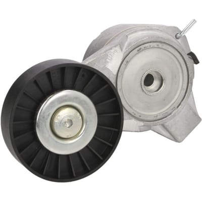 Riemspanner, Poly V-riem DAYCO APV1003