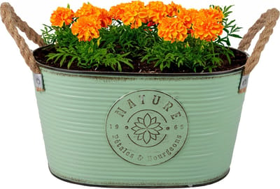 Sunnydays Teil/plantenpot/bloempot - zink - jadegroen - L29 x D18 x H15 cm