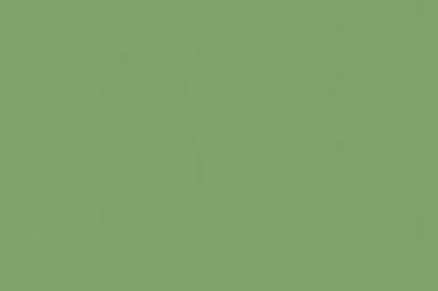 Tekenpapier Folia appelgroen - 50x70cm 130gr pak 25 vel