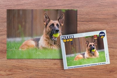 Puzzel Duitse Herdershond met een tennisbal in de mond - Legpuzzel - Puzzel 1000 stukjes volwassenen