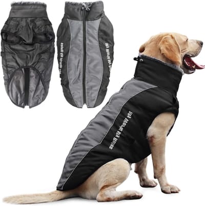 Warme Reflecterende Hondenjas voor Medium en Grote Honden, Waterdichte Snowsuit met Harnasopening voor Buitenactiviteiten