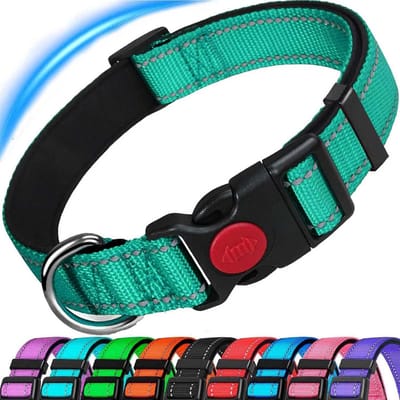Reflecterend Verstelbaar Hondenhalsband met Neopreen Padding - Duurzame Nylon Hondenkraag voor Kleine, Middelgrote en Grote Honden