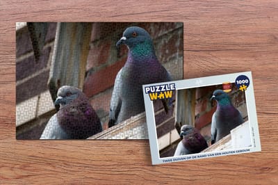 Puzzel Twee duiven op de rand van een houten gebouw - Legpuzzel - Puzzel 1000 stukjes volwassenen