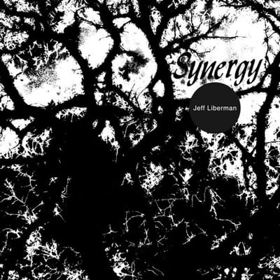 Jeff Liberman - Synergy (LP)