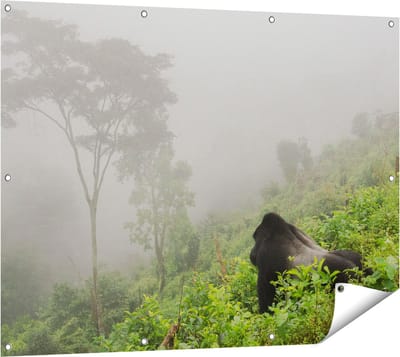 Gards Tuinposter Gorilla in het Woud tijdens de Mist - 120x90 cm - Tuindoek - Tuindecoratie - Wanddecoratie buiten - Tuinschilderij