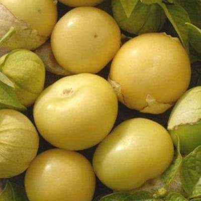 Tomatillo zaden - Tomatillo Amarilla