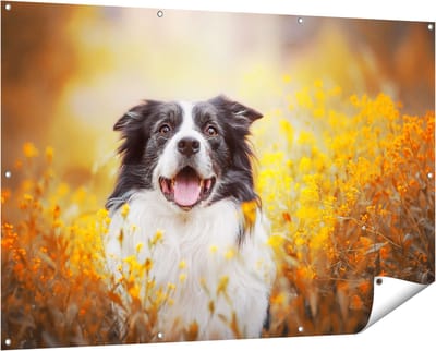 Gards Tuinposter Blije Hond tussen de Bloemen - 150x100 cm - Tuindoek - Tuindecoratie - Wanddecoratie buiten - Tuinschilderij