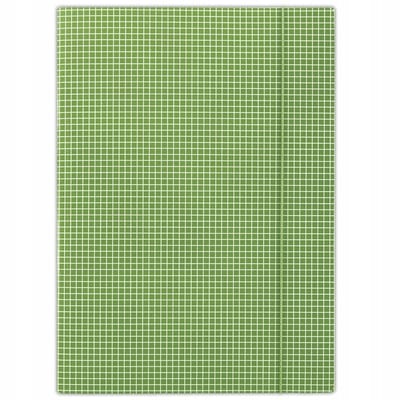 Donau Map met Elastiek A4 400gsm Groen Geruit 3-Flaps