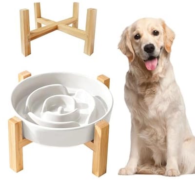 Keramische Anti-Schrokbak voor Honden - Verhoogde Slow Feeder voor Middelgrote en Grote Honden