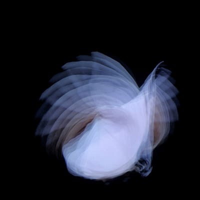 Kira Kira - Feathermagnetik (CD)