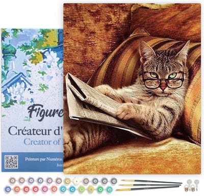 Figured'Art Schilderen op Nummer Volwassenen met lijst - Knoei niet met deze kat - Handwerk acrylverf Kit DIY Compleet - 40x50cm Canvas al ingelijst