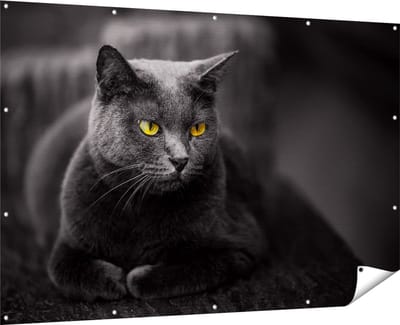 Gards Tuinposter Zwarte Kat met Gele Ogen - 180x120 cm - Tuindoek - Tuindecoratie - Wanddecoratie buiten - Tuinschilderij
