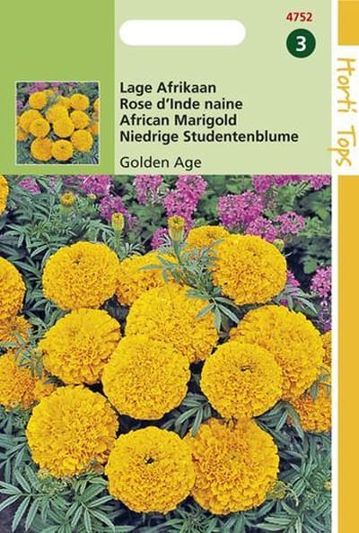 Hortitops Zaden - Tagetes Erecta Nana Golden Age