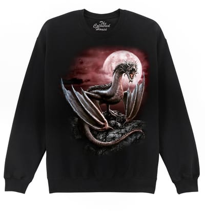 Draak Darius Dragon The Coloured House Sweater S