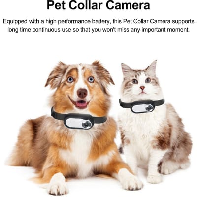 Huisdier Halsband Camera Hoge Definitie Draagbare Hond Tracker Halsband Camera Actie Sport Hond Cam Kat Videocamera Wit wit