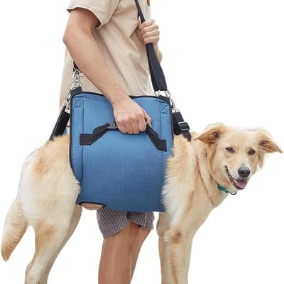 Hondentuigje - Anti-Trek Tuig - Hondenharnas - Hondentuig- Anti trek - Middel en grote hond - Veiligheidstuig- -Voor Wandeltraining-Hondendraagband-Noodrugzak Huisdierbenen Ondersteuning - M（40*25CM）