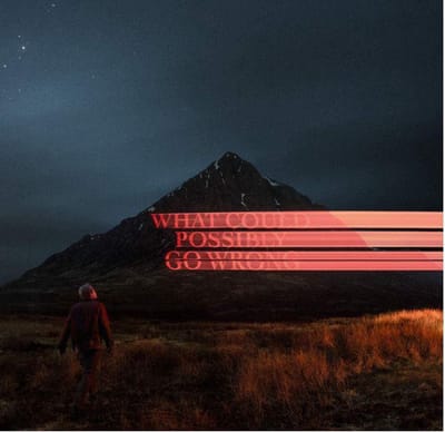 What Could Possibly Go Wrong - Dominic Fike