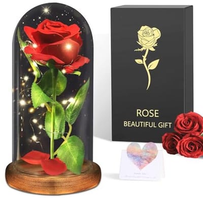 Eeuwige Roos - Roos in Glas - Cadeau Geven - Met LED Licht - 22 cm Hoog - Rood
