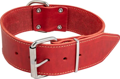 Jack And Vanilla - Halsbanden - Vetleder Brede Halsband - Rood - 30mmx50cm 45/7820 - 176430