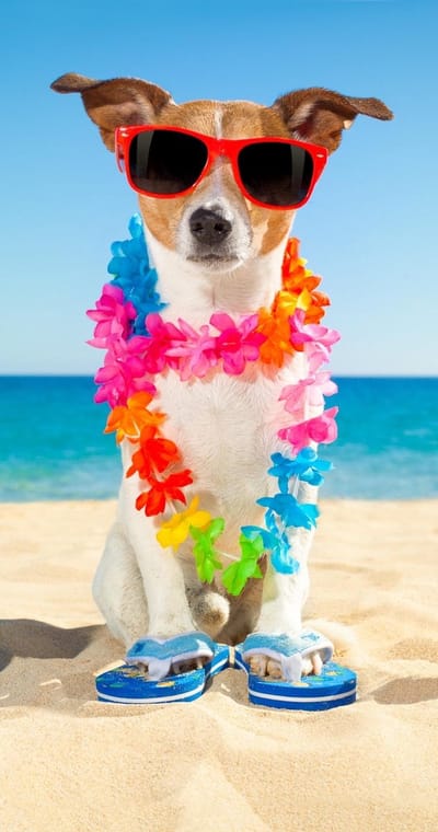 Good Morning Kinderstrandlaken "hond" - Multi - (75x150 cm) - Microfiber