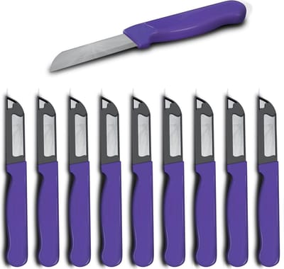 Solingen Schilmesje Robuust Handvat – RVS Glad – 16 cm met Blade Cover – Paars – 10 stuks