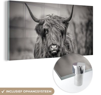 MuchoWow® Glasschilderij 40x20 cm - Schilderij acrylglas - Schotse Hooglander - Zwart - Wit - Foto op glas - Schilderijen