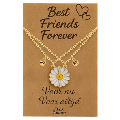 BFF Ketting voor 2 'Best Friends Forever' - Magnetische Bloem - Vriendschapsketting op Cadeau Kaartje - 45cm + 5cm verstelbaar - Goudkleurig - Best Friends Hanger - Pax Amare