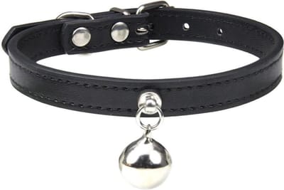 Kattenhalsband met Belletjes - Halsband voor Huisdieren - Zwart