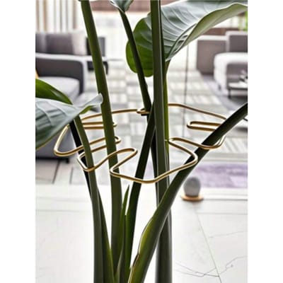 Duurzaam Plantenondersteuningsrek Inclusief Monstera Clip Set, Ideaal Voor Het Bevorderen Van Gezonde Plantengroei; Duurzaam Monstera Plant Klimrek & Ondersteuning 1pc goud